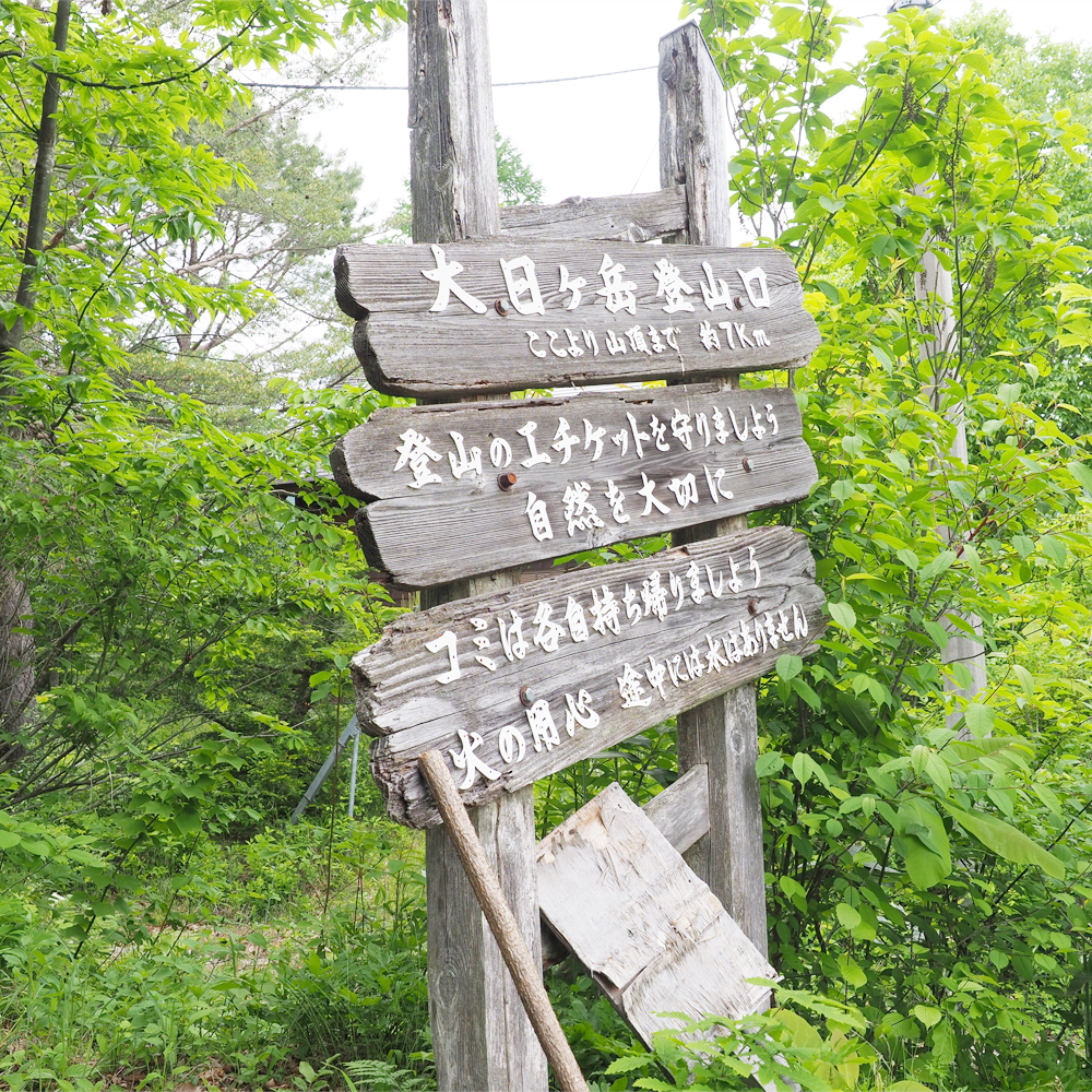 登ってみよう、大日ヶ岳！画像