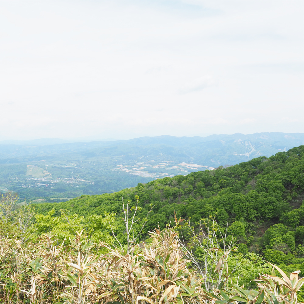 登ってみよう、大日ヶ岳！画像