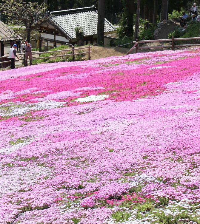 郡上ガイド 明宝