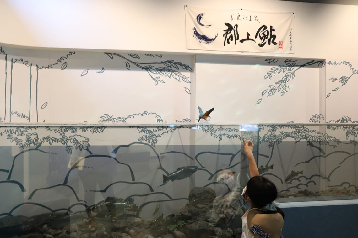 夏の郡上をたっぷり堪能！郡上おどりの実演体験＆ひんやりスイーツ18