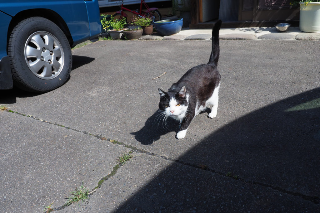 暮らすように旅する〜農家民宿でプチ移住体験!06
