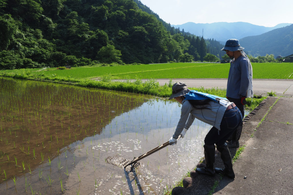 暮らすように旅する〜農家民宿でプチ移住体験!19