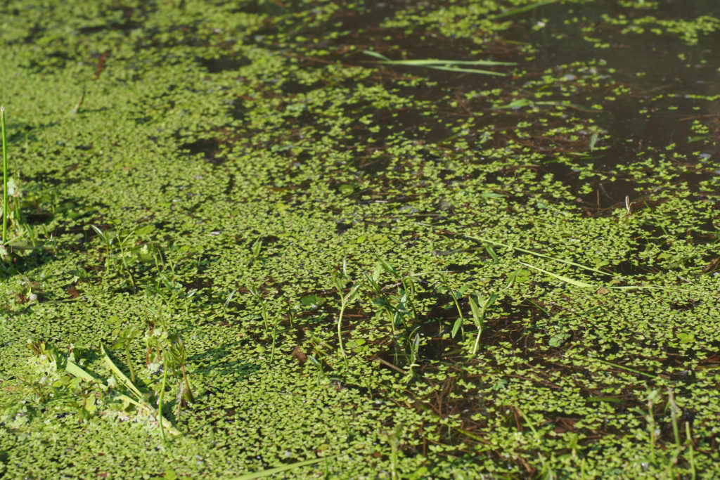 暮らすように旅する〜農家民宿でプチ移住体験!20