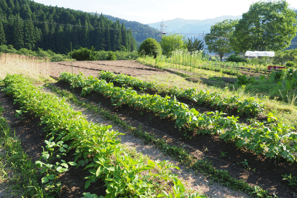 暮らすように旅する〜農家民宿でプチ移住体験!21