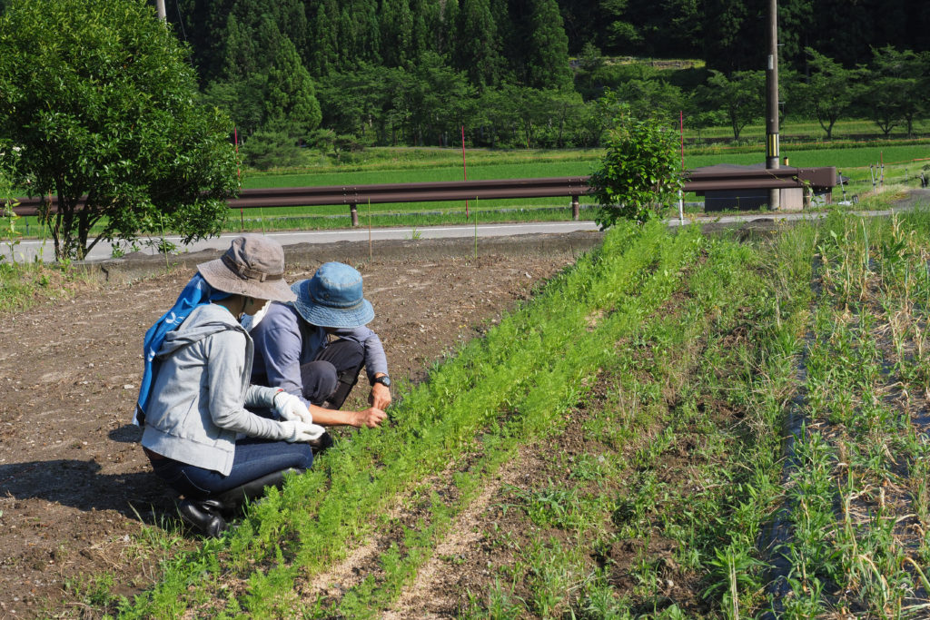 暮らすように旅する〜農家民宿でプチ移住体験!22