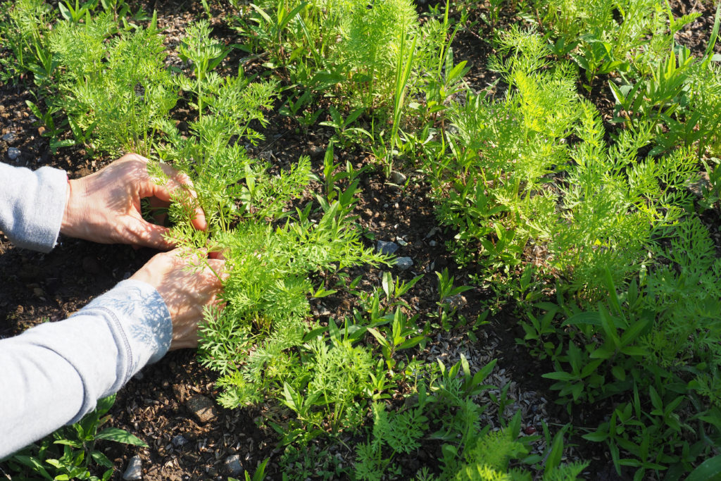 暮らすように旅する〜農家民宿でプチ移住体験!24