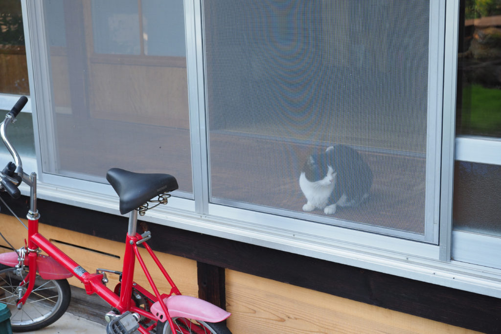 暮らすように旅する〜農家民宿でプチ移住体験!26