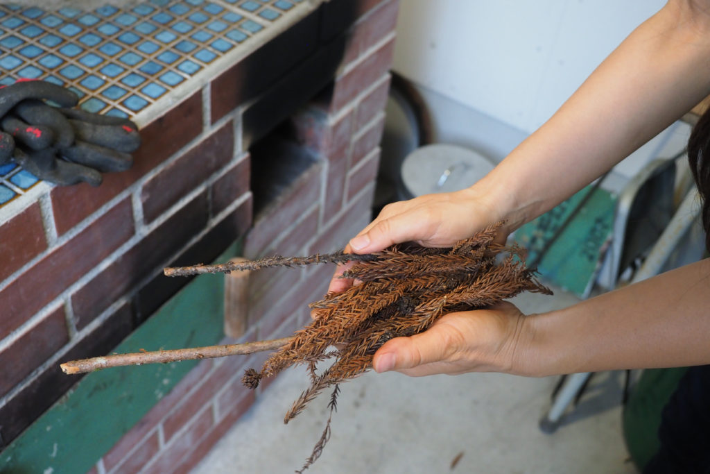 暮らすように旅する〜農家民宿でプチ移住体験!30