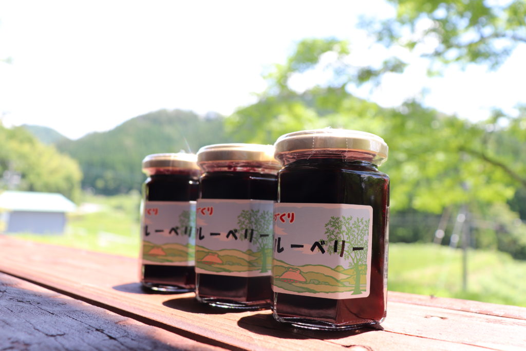 子どもも大人もワクワク楽しい！大和エリアでブルーベリー収穫体験的26