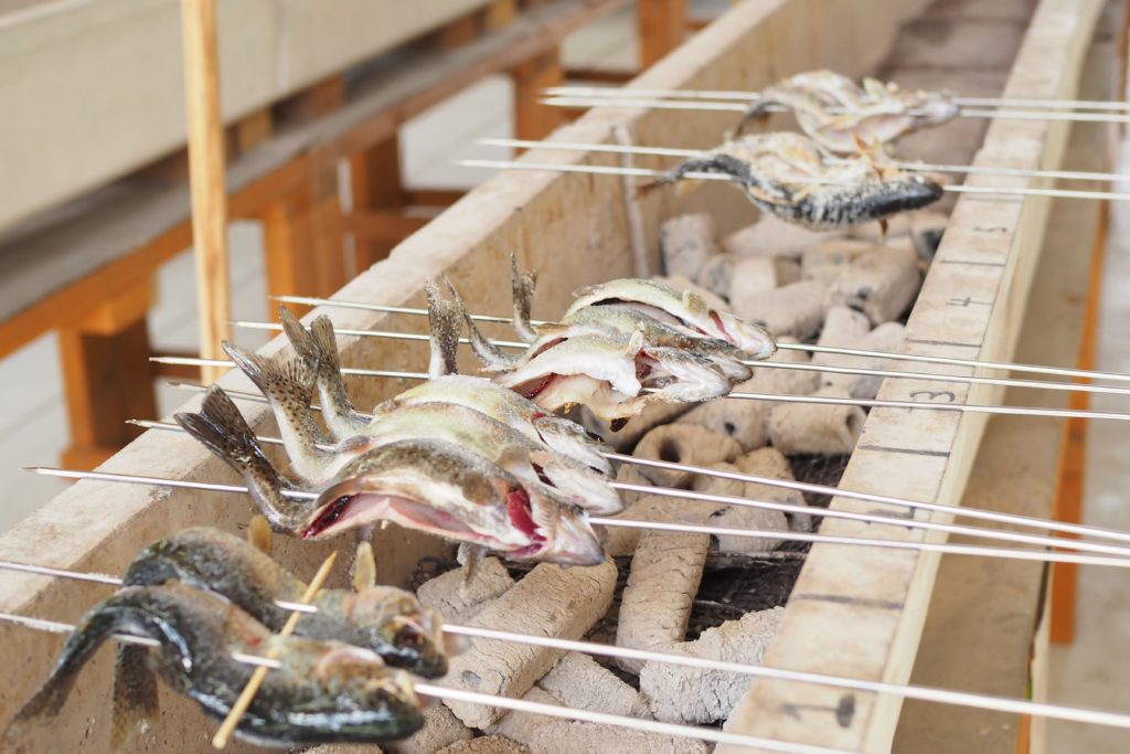 清流長良川あゆパーク_10