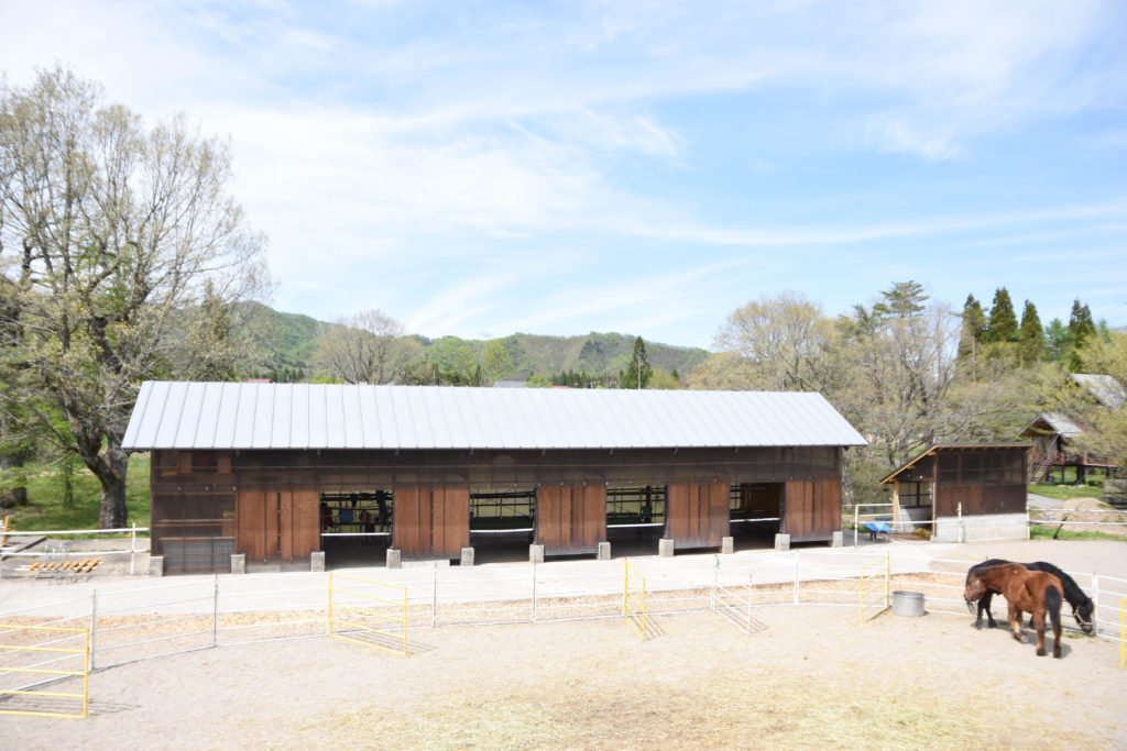 ひるがの高原木曽馬牧場_06