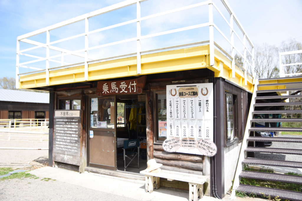 ひるがの高原木曽馬牧場_12