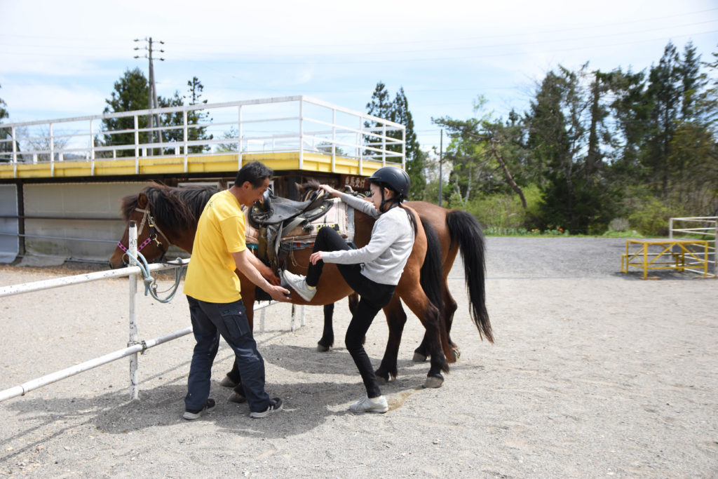 ひるがの高原木曽馬牧場_15