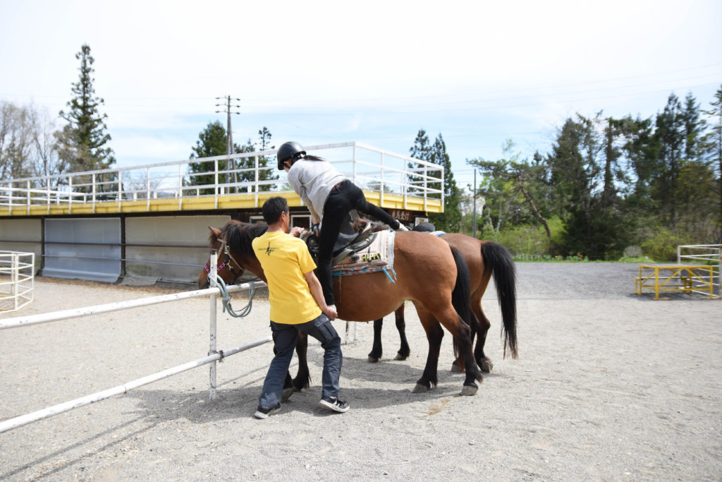 ひるがの高原木曽馬牧場_16
