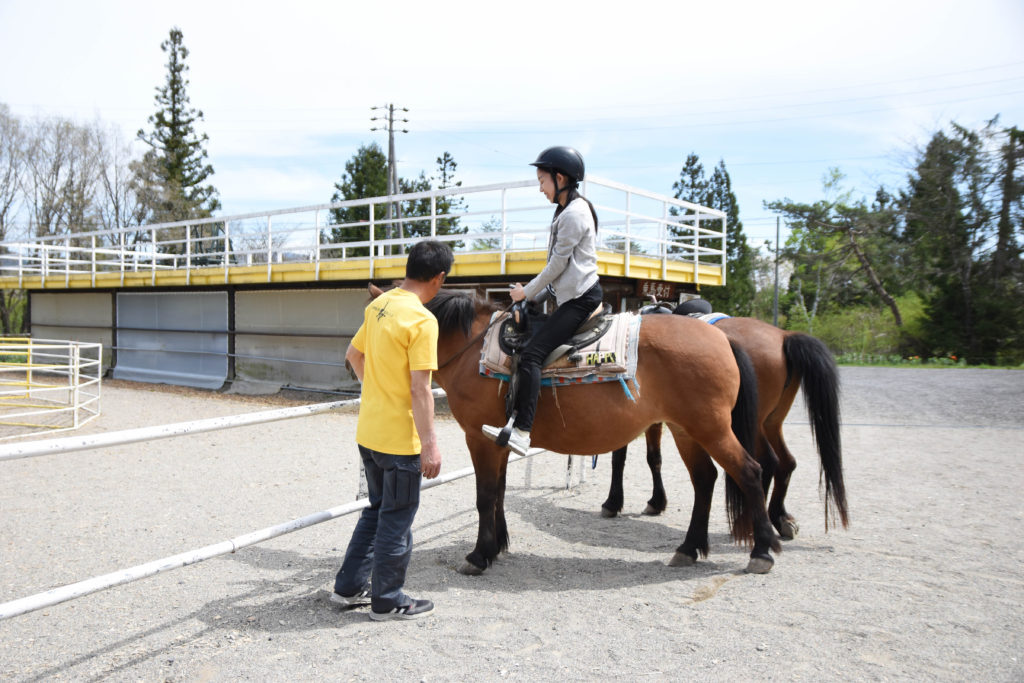 ひるがの高原木曽馬牧場_17