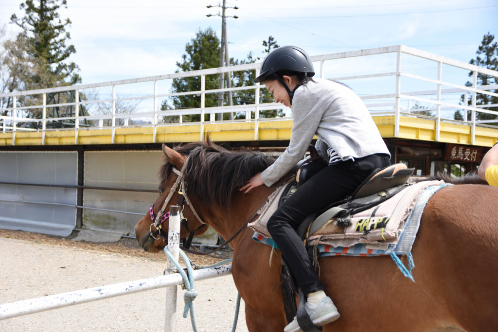 ひるがの高原木曽馬牧場_18