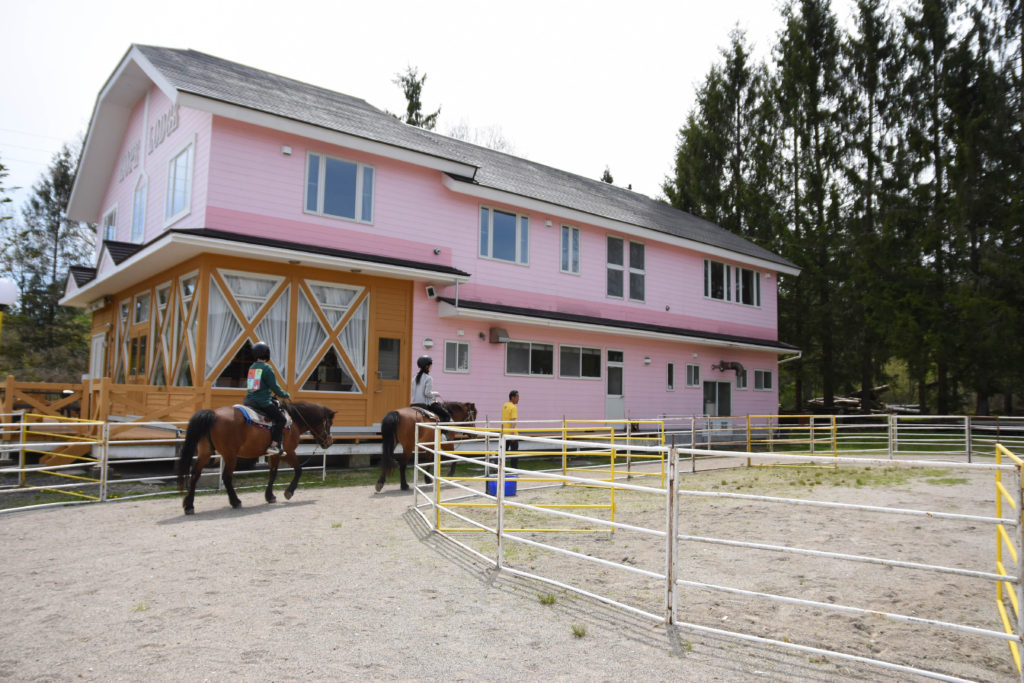 ひるがの高原木曽馬牧場_19