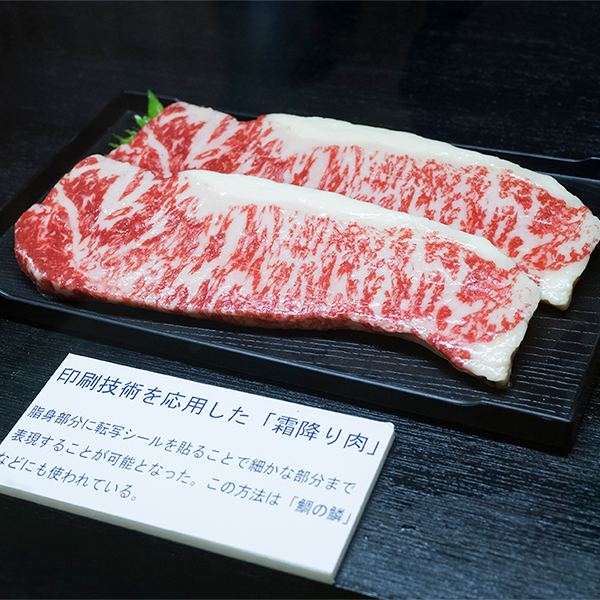 ヌードルライター山田が行く！｜サンプルビレッジ いわさき7